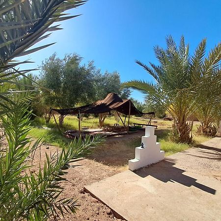 Jardin Du Desert M'Hamid Esterno foto