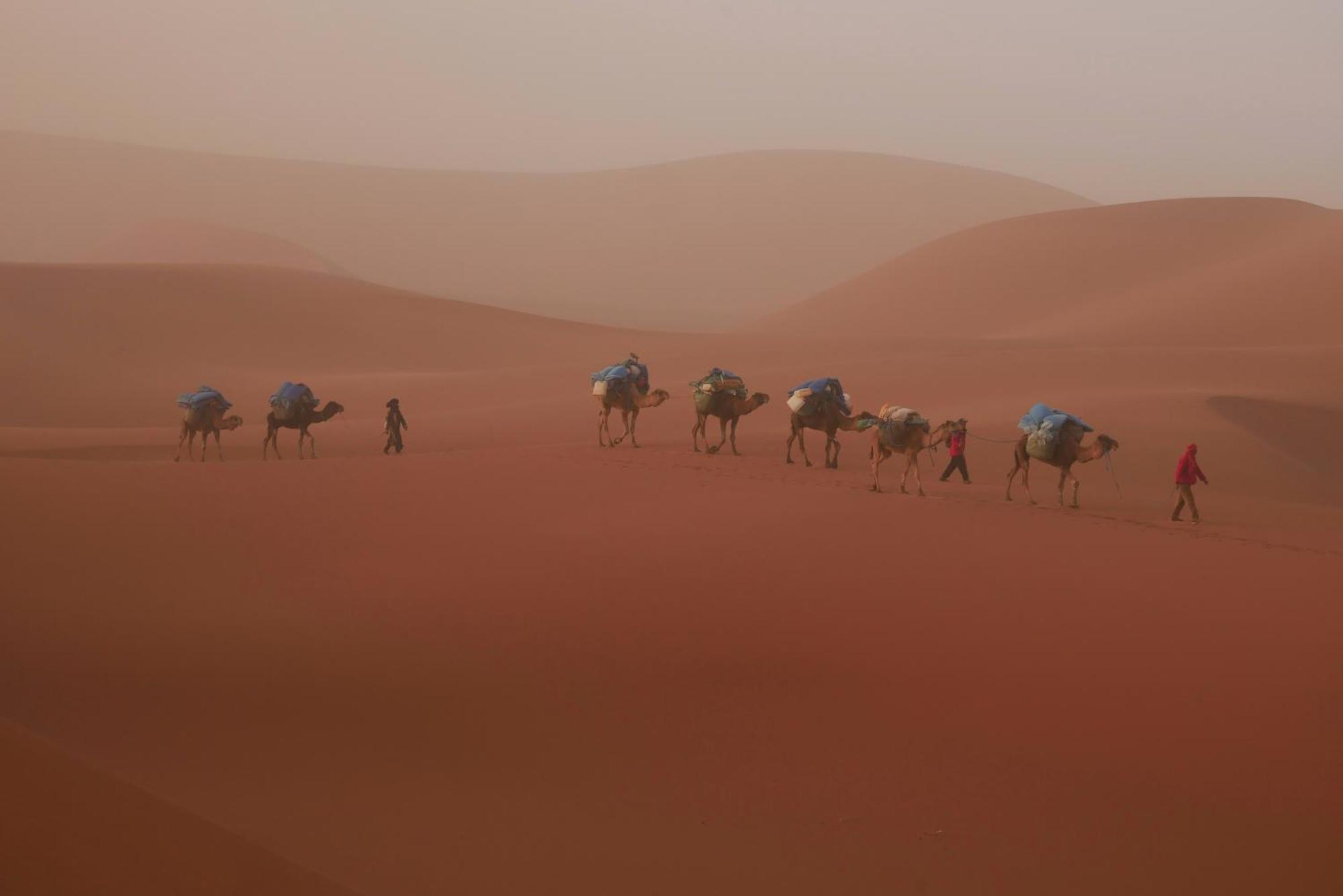 Jardin Du Desert M'Hamid Esterno foto