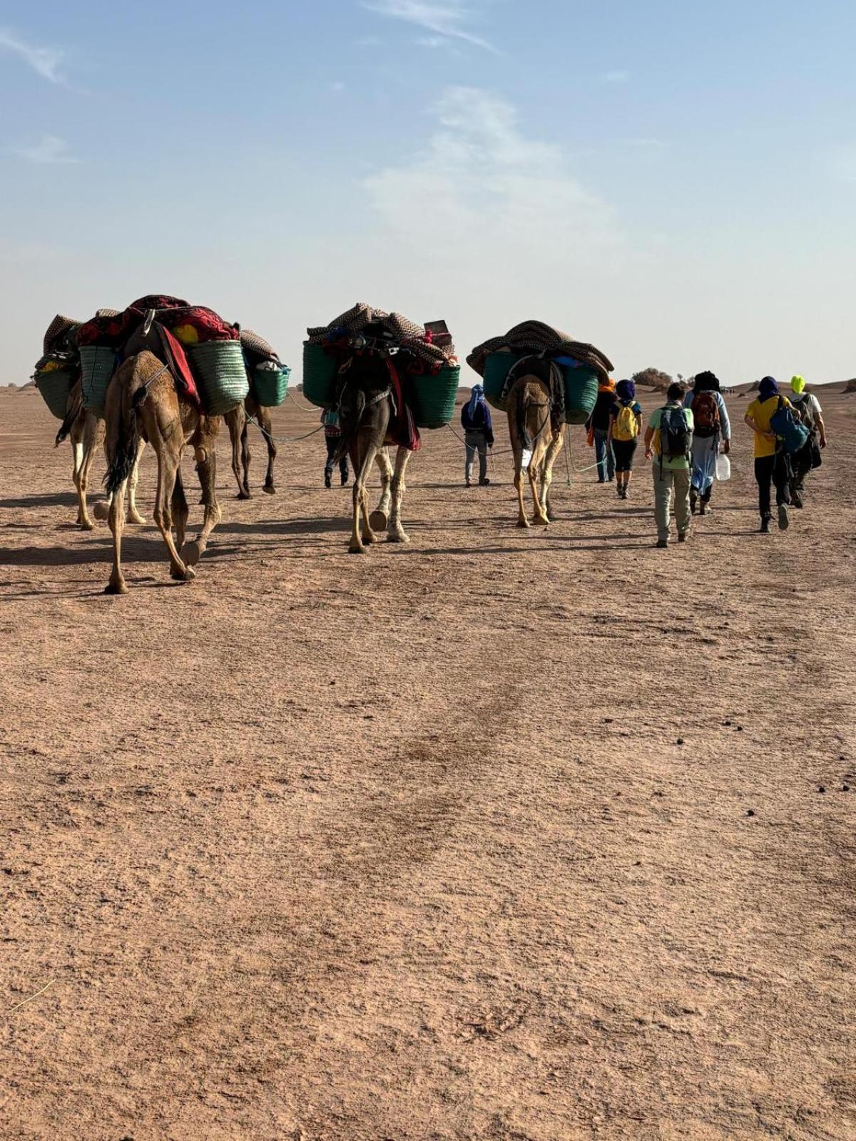 Jardin Du Desert M'Hamid Esterno foto
