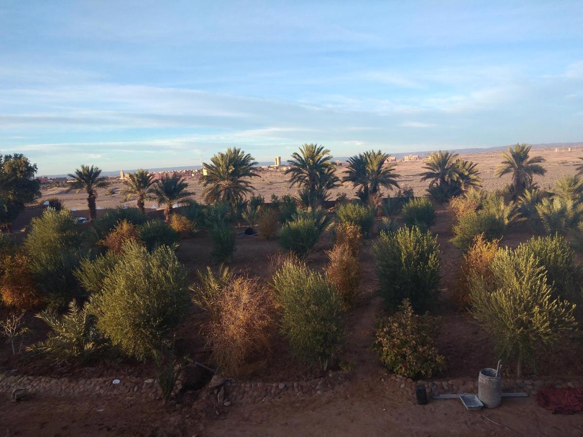 Jardin Du Desert M'Hamid Esterno foto